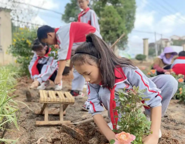 研发学科美育典型讲堂范式破解怎么教在师资与教研维度 研发学科美育典型讲堂范式破解怎么教在师资与教研维度